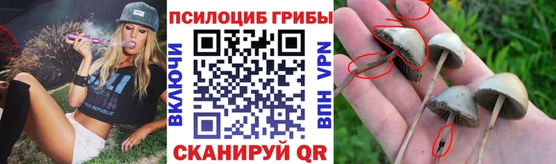 Галлюциногенные грибы Magic Shrooms  Берёзовский 